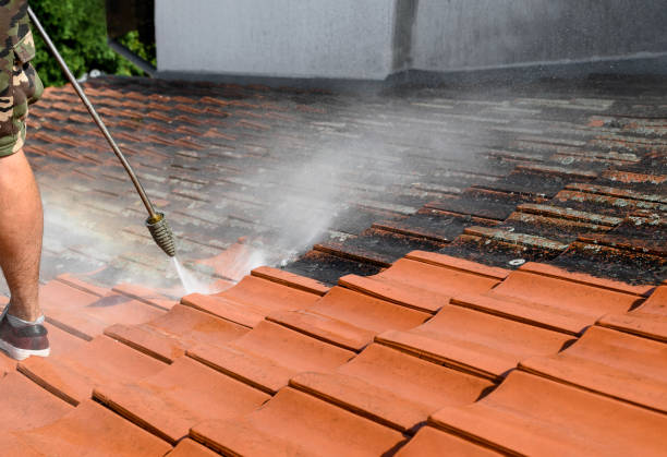 Best Local Pressure Washing Services  in Pinewood Estates, TX